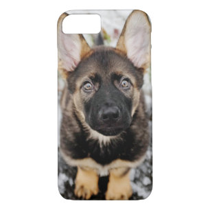 Cute Puppy Looking Up iPhone 8/7 Case