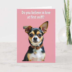 Cute Puppy Love Sniff Card