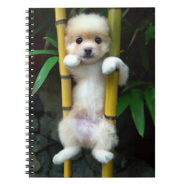 Cute Puppy Notebook Gaejook 개죽이 (Front)