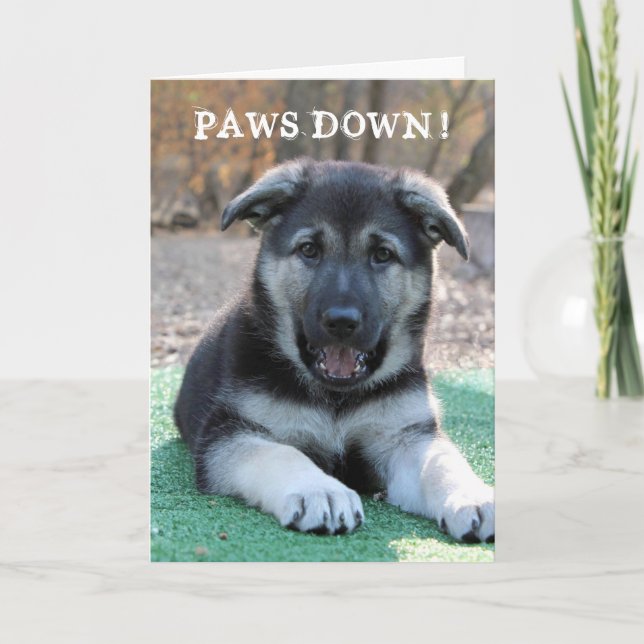 Cute Puppy Paws Down Father's Day Card (Front)