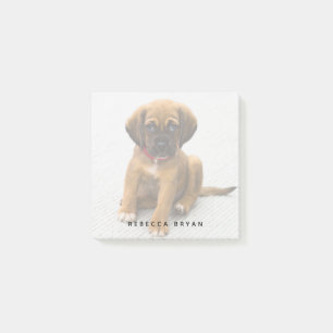Cute Puppy Personalized Dog Lover Photo Post-it Notes