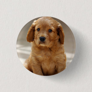 Cute Puppy Portrait Photo 1 Inch Round Button