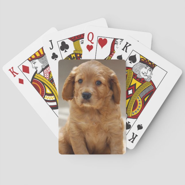 Cute Puppy Portrait Photo Playing Cards (Back)