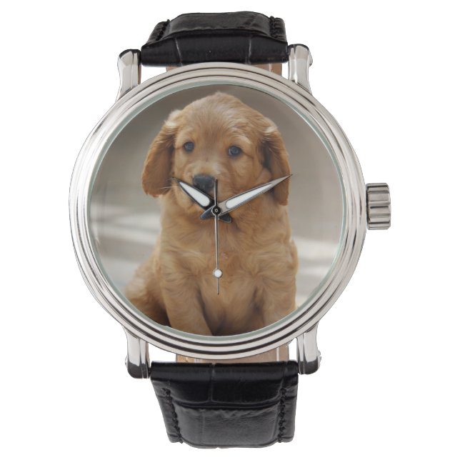 Cute Puppy Portrait Photo Watch (Front)