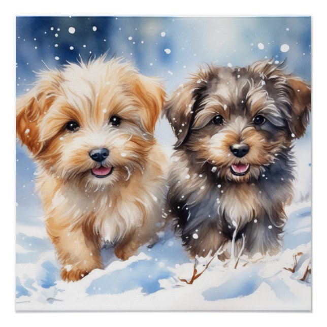 Cute puppy poster (Front)