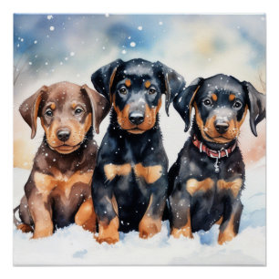 Cute puppy poster