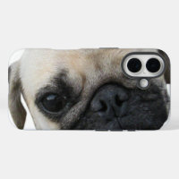 Cute Puppy Pug Dog Friend ... かわいい 子犬
