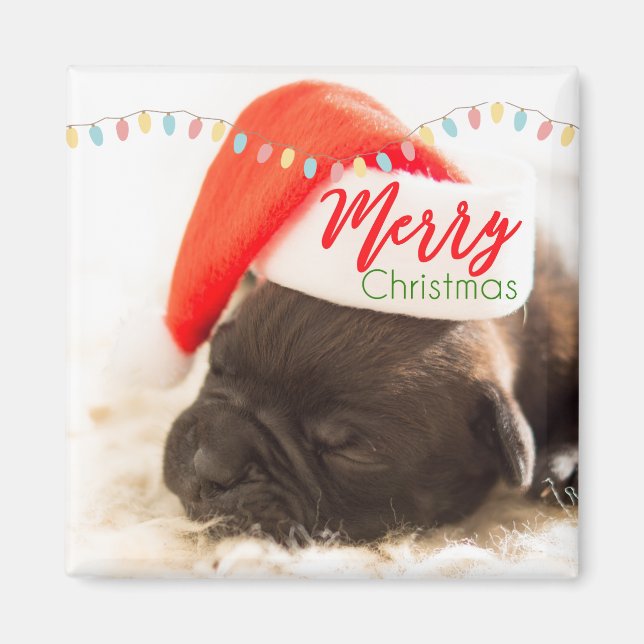 Cute Puppy Pug in a Red Santa Hat Christmas Magnet (Front)