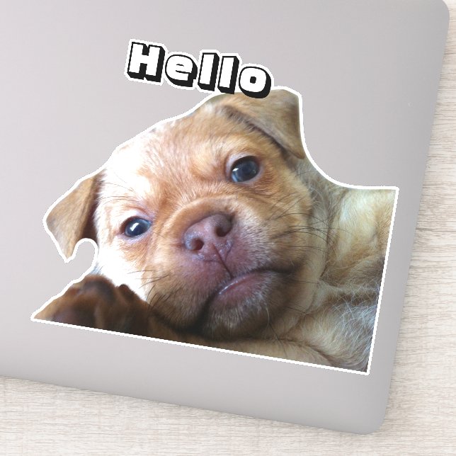 Cute Puppy Says Hello Phone Decoration (Detail)