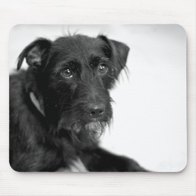 Cute Puppy Schnauzer Terrier Black White Mousepad (Front)