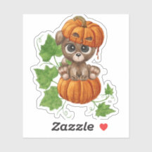 Cute puppy sits on a big pumpkin and guards for Ha