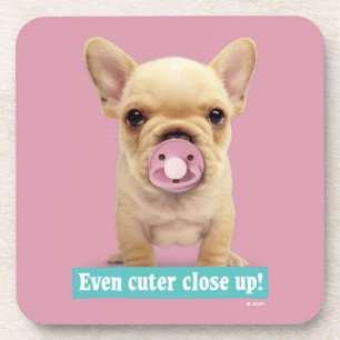 Cute Puppy with Pacifier Coaster