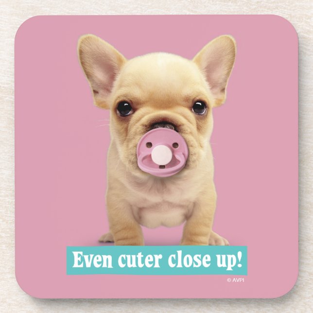 Cute Puppy with Pacifier Coaster (Front)