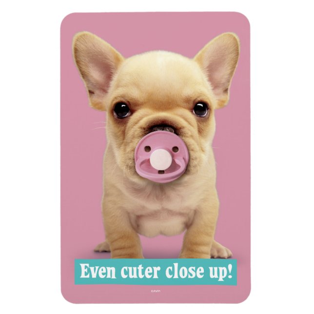 Cute Puppy with Pacifier Magnet (Vertical)