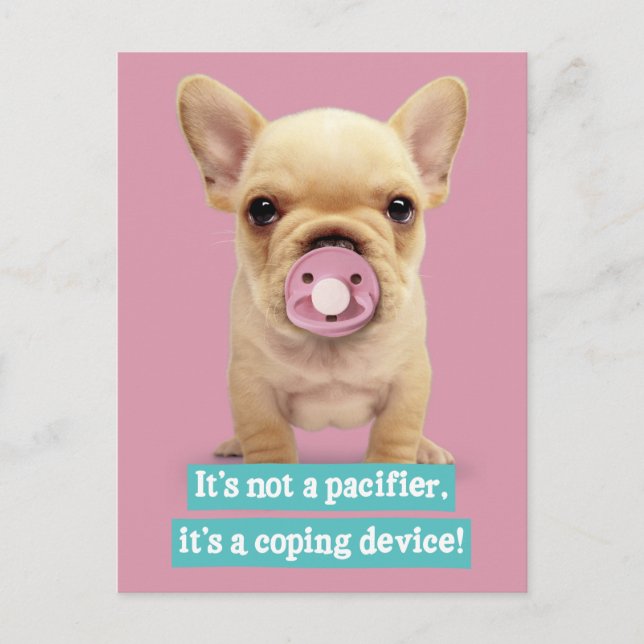 Cute Puppy with Pacifier Postcard (Front)