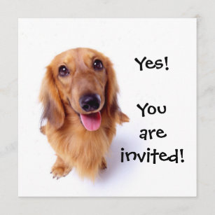 Cute Puppy "You're Invited!" Personalized Party Invitation