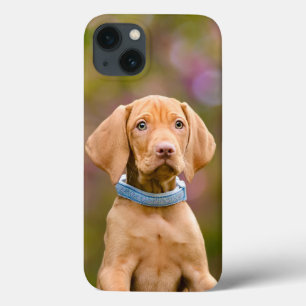 Cute puppyeyed Hungarian Vizsla Dog Puppy Photo / iPhone 13 Case