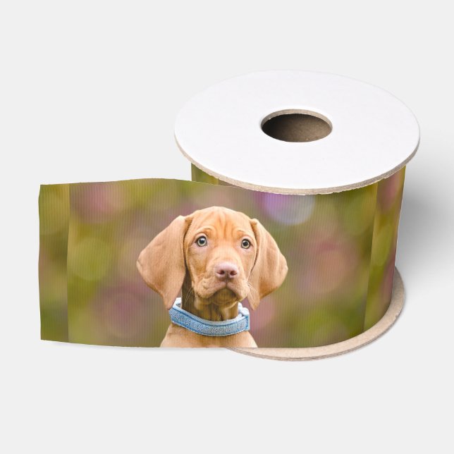 Cute puppyeyed Hungarian Vizsla Dog Puppy Photo Grosgrain Ribbon (Spool)