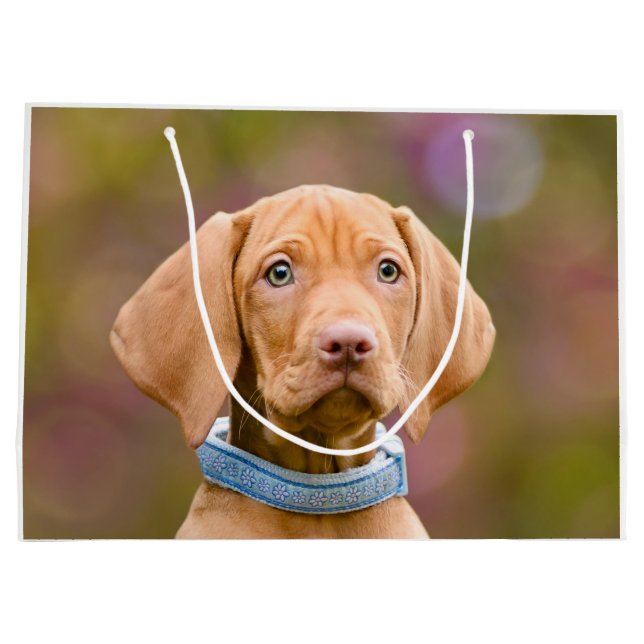 Cute puppyeyed Hungarian Vizsla Dog Puppy Photo -/ Large Gift Bag (Back)