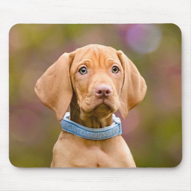 Cute puppyeyed Hungarian Vizsla Dog Puppy Photo : Mouse Pad (Front)
