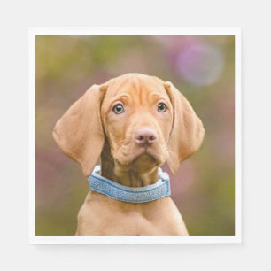 Cute puppyeyed Hungarian Vizsla Dog Puppy Photo / Napkin