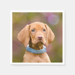 Cute puppyeyed Hungarian Vizsla Dog Puppy Photo /. Napkin