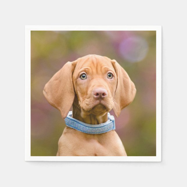 Cute puppyeyed Hungarian Vizsla Dog Puppy Photo /. Napkin (Front)