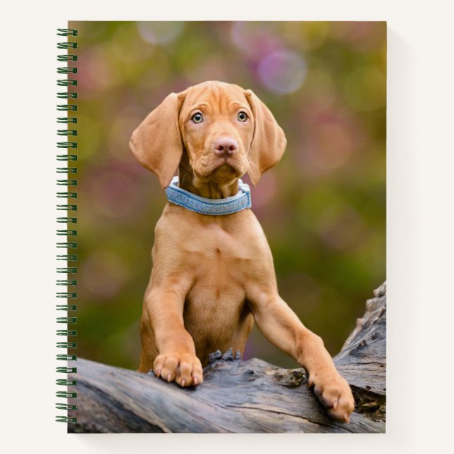 Cute puppyeyed Hungarian Vizsla Dog Puppy Photo .. Notebook (Front)