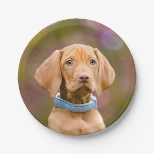 Cute puppyeyed Hungarian Vizsla Dog Puppy Photo "" Paper Plate