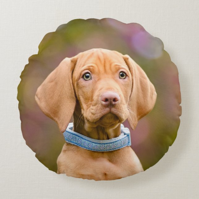 Cute puppyeyed Hungarian Vizsla Dog Puppy Photo -_ Round Pillow (Front)