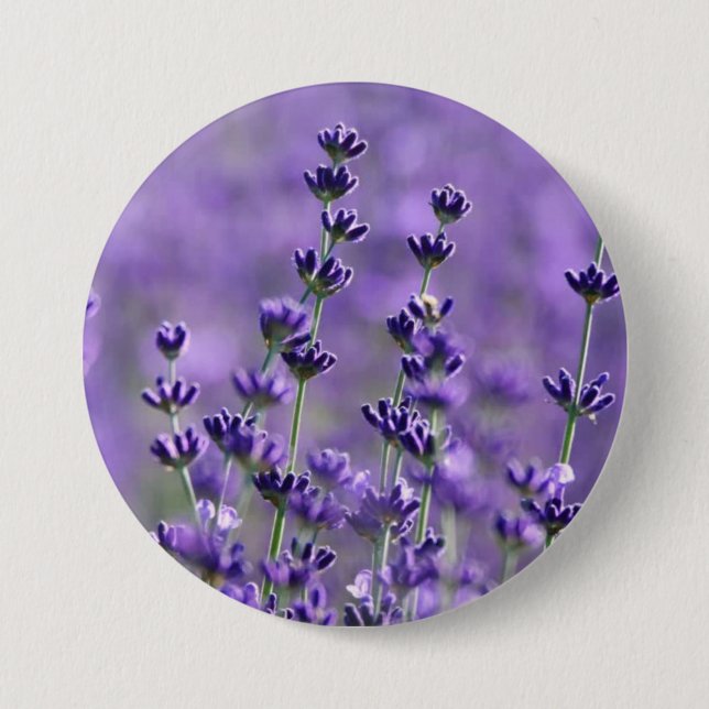 Cute Purple Lavender Flowers 3 Inch Round Button (Front)