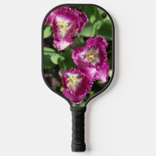 Cute purple  tulips  in the garden  pickleball paddle