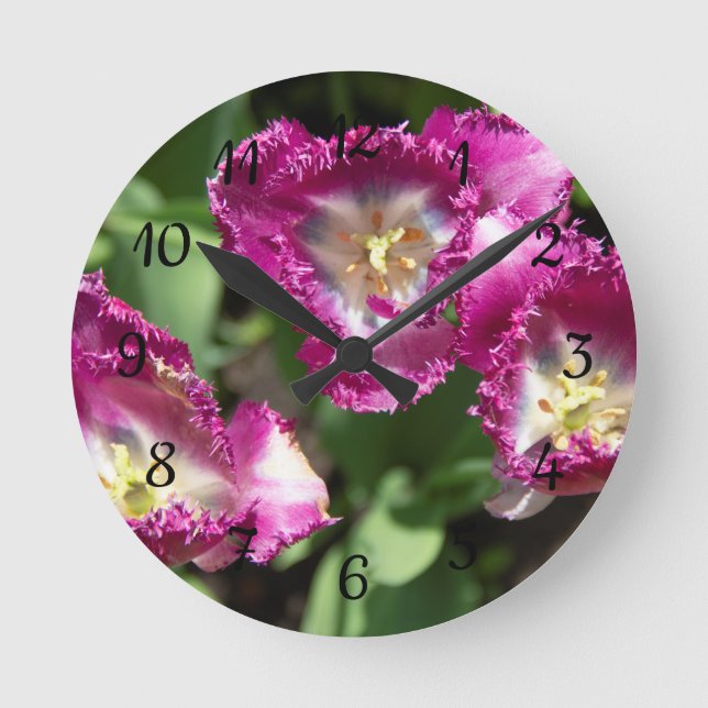 Cute purple  tulips  in the garden round clock (Front)