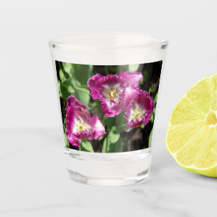 Cute purple tulips in the garden shot glass