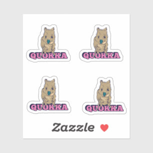 Cute Quokka