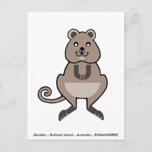 Cute QUOKKA - Animal lover - Wildlife - Marsupial Postcard