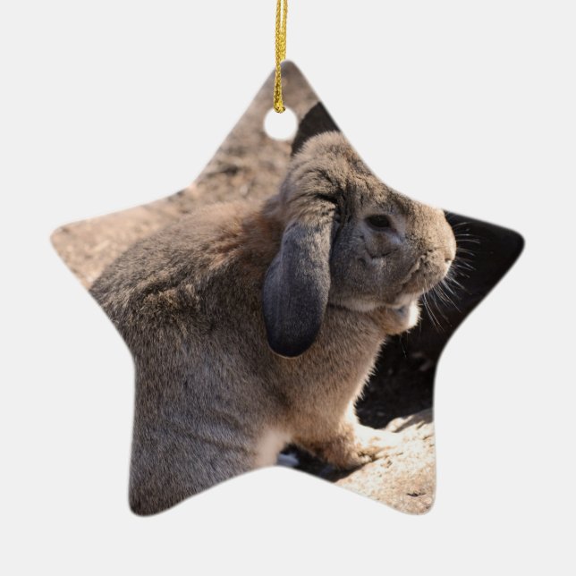 Cute Rabbit Ceramic Ornament (Front)