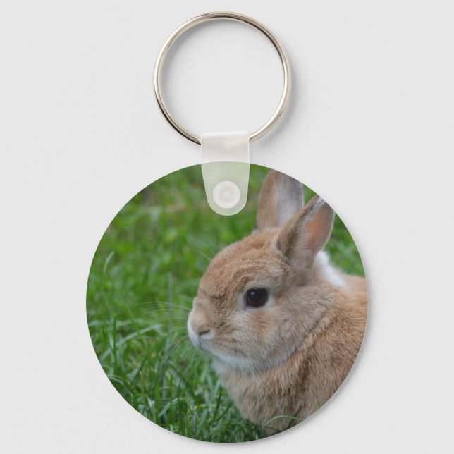 Cute Rabbit Keychain (Front)