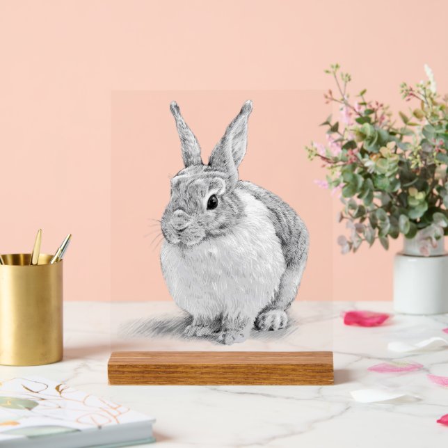 Cute Rabbit Pencil Drawing Acrylic Sign (Wedding)
