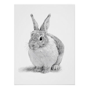 Cute Rabbit Pencil Drawing Poster