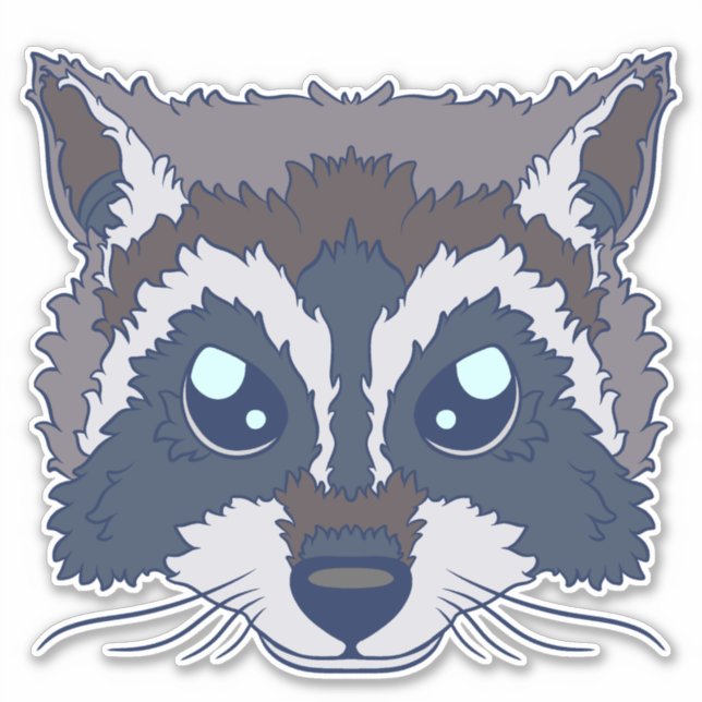 Cute Raccoon (Front)