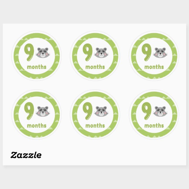 Cute Raccoon Baby Monthly Milestone  Classic Round Sticker (Sheet)