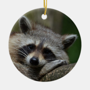 Cute Raccoon Ceramic Ornament