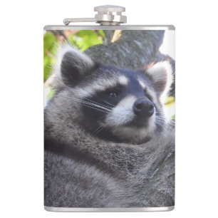 Cute Raccoon Close UP Hip Flask