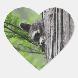Cute Raccoon Heart Sticker