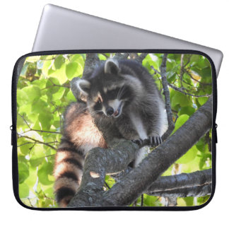 Cute Raccoon in a Tree Laptop Sleeve