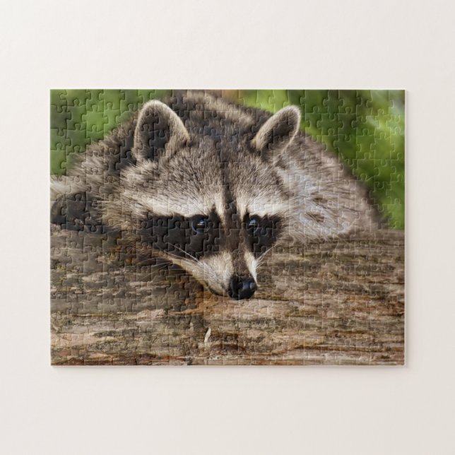 Cute Raccoon in Forest Photo Jigsaw Puzzle (Horizontal)