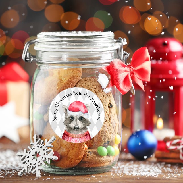 Cute Raccoon in Red Santa Hat Christmas Classic Round Sticker (Creator Uploaded)