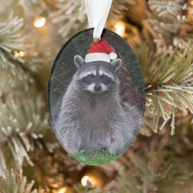 Cute Raccoon Porté Red Santa Hat Holiday (Arbre)