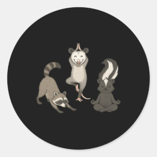 Cute Raccoon Possum Skunk Yoga Poses Classic Round Sticker